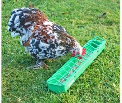 Gaun plastic pigoen, poultry, bird, chick trough feeder from Solway Feeders