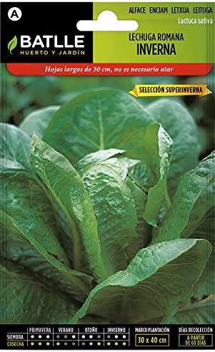 Semillas Hortícolas - Lechuga Romana Inverna sel. Superinverna ...