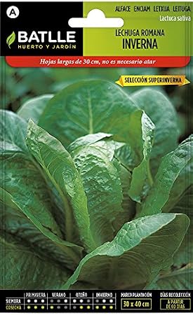 Semillas Hortícolas - Lechuga Romana Inverna sel. Superinverna ...