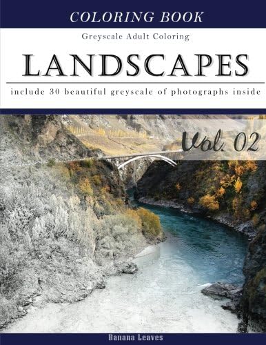 Landscapes Art: Gray Scale Photo Adult Coloring Book, Mind Relaxation Stress Relief Coloring Book Vol2: Series of coloring book for adults and grown ... x 27.94 cm) (Adults Coloring Book) (Volume 2)
