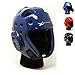whistlekick Martial Arts Sparring Helmet (Arctic Blue, Medium) with Industry Leading Warranty-Taekwondo Martial Arts Sparring Equipment Gear Set