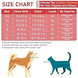 GAMUDA Small Pet Harness Collar and Leash Set, Step