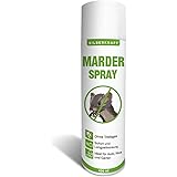 Marderabwehr dachboden Marderabwehr dachboden