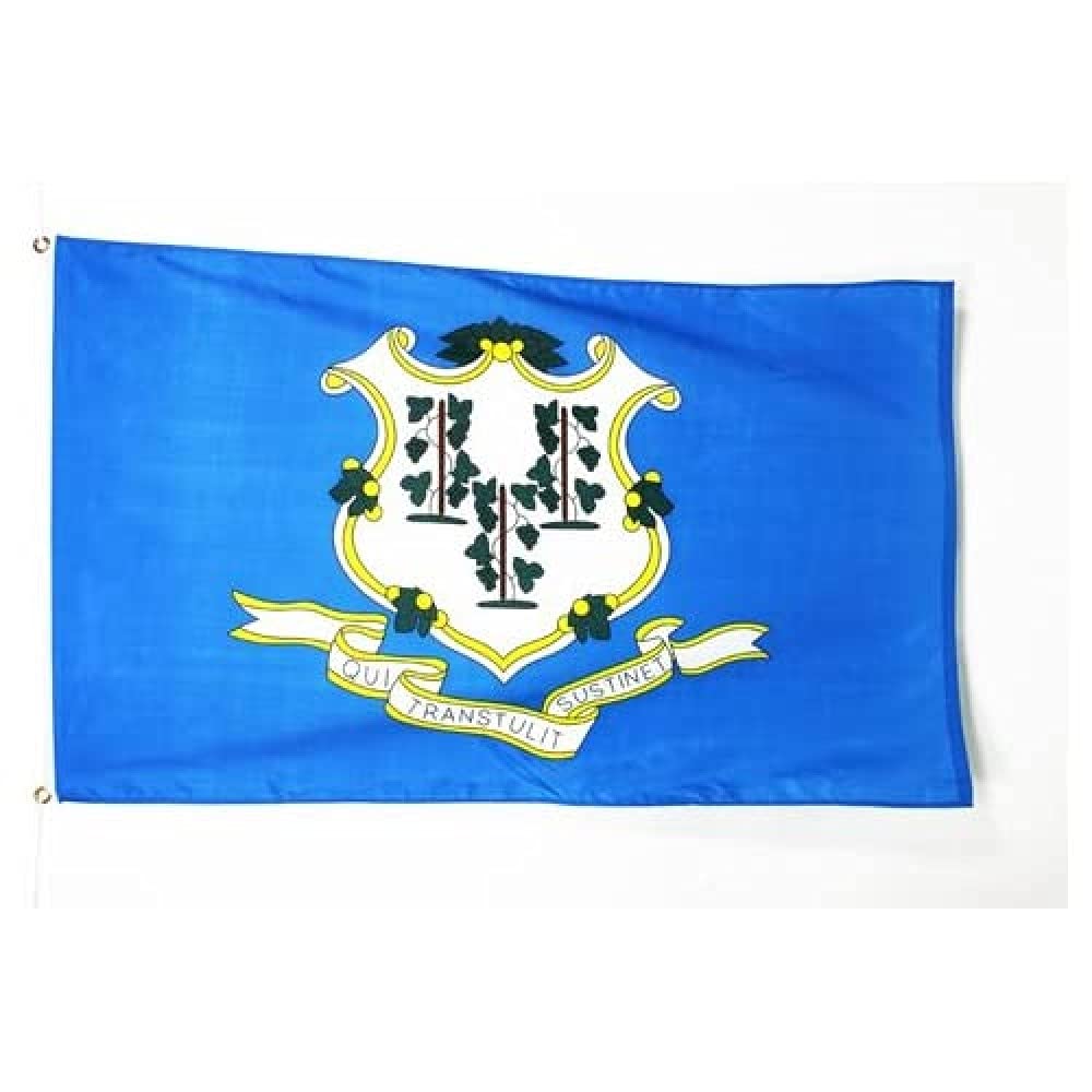 AZ FLAG - Connecticut Flag - 2x3 Ft - 100D Polyester Us State Of Connecticut Banner with Two Metal Grommets - Fade Resistant - Vivid Colors - 2' x 3' Feet - 90x60 Cm — image 1