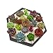 Splendidsun Hexagon Shaped Cement Flowerpot molds, Home Decoration Concrete Planter Pallet Silicone Mold,Handmade Craft Mold DIY(11.4132CM)