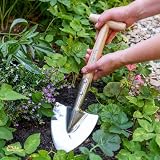 Burgon & Ball RHS Perennial Spade Small FSC 100% view 6