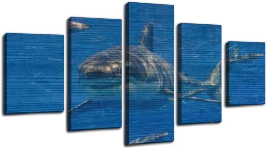 cage diving with great white sharks in guadalupe, mexico great white Framed Art Wall Painting Pictures Canvas Prints Gallery Wrapped Poster Home Office Living Room Wall Decor Ready to Hang 5 Panel