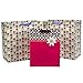 24pk Hallmark Gift Wrap Bags Birthday Present Holiday Party Favor Sacks Bulk Lot