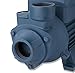 Neiko 50639 Electric Centrifugal Clear Water Pump, 1 HP