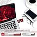 LISHENFA USB Flash Drive Photo Stick 256GB for iPhone, iPhone External Memory for iPhone, Android, PC Photos and Mobile Phone and Computer Compatible 3.0 Flash Drive (red -256GB)