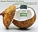 NEW - Priority Organics - Natural, Organic Deodorant - Plastic-Free, Healthy & Safe (Tea Tree - Lavender, 2 OZ)