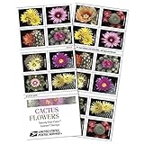 Cactus Flowers 2 Books of 20 Forever First Class US Postage Stamps Celebration Wedding