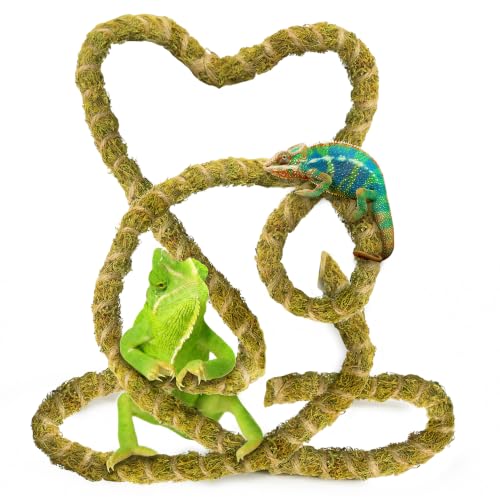 Duspro Reptile Moss Vine