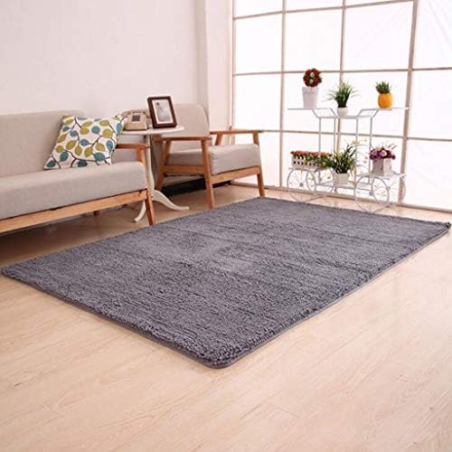 CarPet Thicken Living Room Bedroom Foyer Floor Mat Door Bathroom Bathroom Anti-Skid Anti-Skid Wear (Color : Gray, Size : 80160cm)
