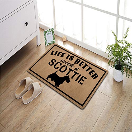 Welcome-Matte, lustige Fußmatte, rutschfest, für den Eingangsbereich