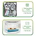 Krama Fresh - Bento Lunch Box Kids 34 Oz, 3 and 4 Compartment, Lunchbox Containers for Boys, Girls, Adults, Teens, Leak-proof Food Storage, Microwave Dishwasher Safe, BPA Free, Set of 2 Pink Blue
