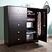 South Shore Vito Door Chest with 5 Drawers and Adjustable Shelves, Pure Black