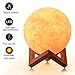 LOFTEK Moon lamp, 3D Printing 5.9 inch Full Seamless Moon Lights with Touch Control and USB Recharging, Global Moon Decor & Magical Night Lights As Best Gifts Choice for Kids, Lovers (Warm & Cool)