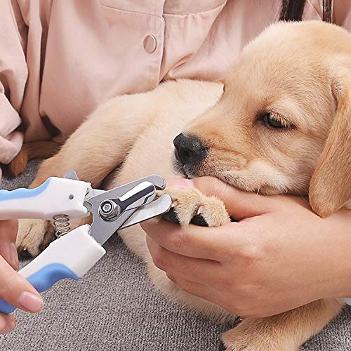 Dog Nail Clippers, Stainless Steel Dog Nail Trimmer with Razor Sharp Blades, Safety Guard to Avoid Over-cutting, Professional Grooming Tool at Home for All Small Large Dogs Cats Pets - Free Nail File
