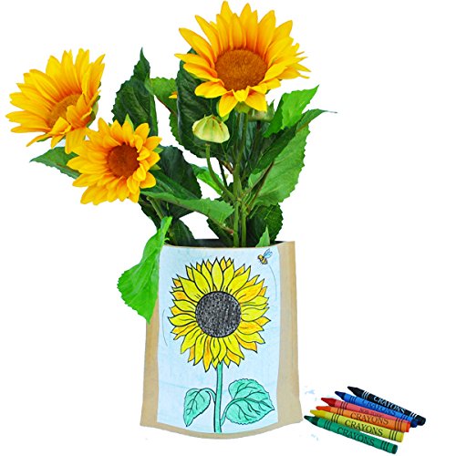 Kit Educo Girasol: Amazon.es: Jardín