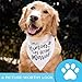 My Humans are Getting Married Dog Bandana, Wedding Dog Bandana, Dog Engagement Announcement, Wedding Photo Prop, Pet Scarf, Pet
