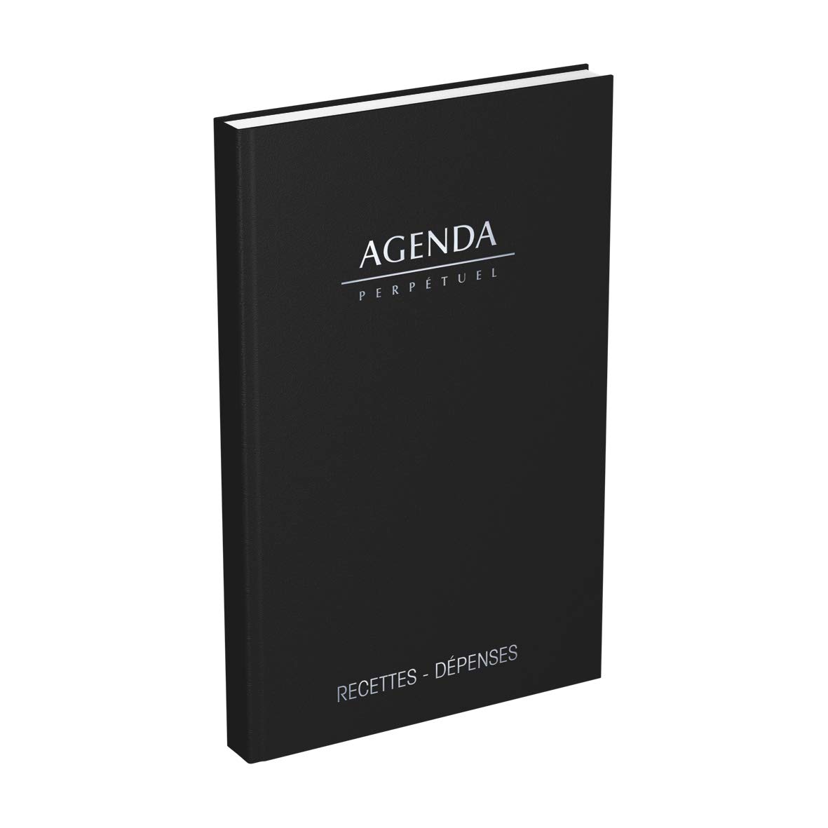 Lecas Agenda Recipes/Expenses 1 Page per Day 14 x 22 cm Year 2018