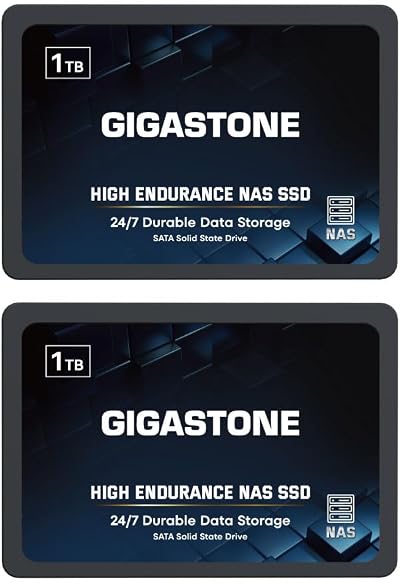 Gigastone 1TB NAS SSD 2-Pack 2.5" SATA TLC 24/7 RAID Internal Hard Drives