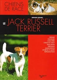 Le  jack russel-terrier