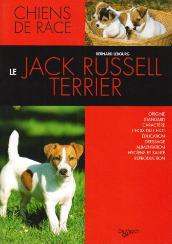 Le  jack russel-terrier