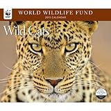 2013 Calendar Wild Cats WWF 2013 Deluxe Wall Calendar by 