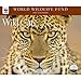 2013 Calendar Wild Cats WWF 2013 Deluxe Wall Calendar by 