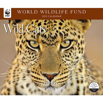 2013 Calendar Wild Cats WWF 2013 Deluxe Wall Calendar by 