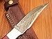 DKC Knives (15 5/18) DKC-720 RED BIRD Damascus Steel Bowie Hunting Handmade Knife Fixed Blade 8.9 oz 9