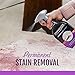 STAINMASTER Carpet Stain Remover Cleaner, 22 Fl Oz