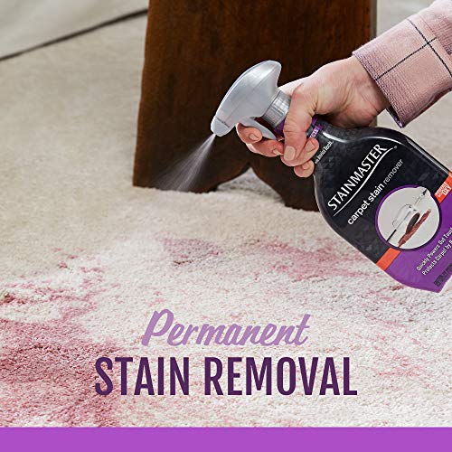 STAINMASTER Carpet Stain Remover Cleaner, 22 Fl Oz - Thumbnail 3