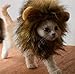 RosyLife Lion Mane Wig for Cat Costume Pet Adjustable Washable Comfortable Fancy Lion Hair Cat Clothes Dress for Halloween Christmas Easter Festival Party Activity (Brown)