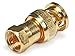 Monoprice 104132 BNC Male to F Male Adaptor, Gold Plated