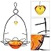 FORUP Oriole Bird Feeder, Orange Fruit Oriole Feeder