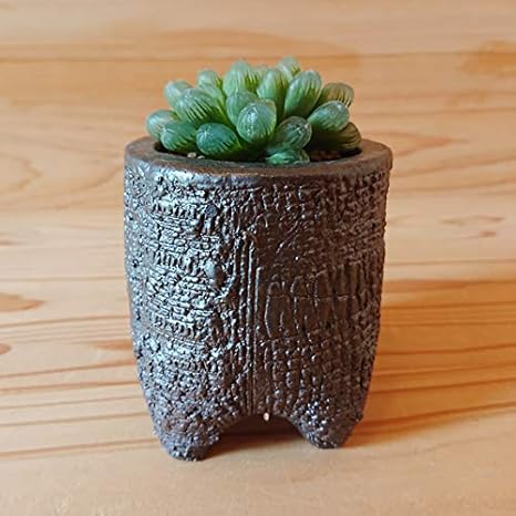 Amazon Co Jp 多肉植物 ハオルチア オブツーサ 陶器鉢 信楽焼鉢 和 サボテン ホーム キッチン