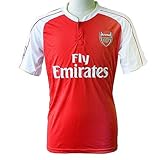 Arsenal F.C. Red Soccer T-Shirts 100% Polyester Football