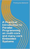 A Practical Introduction to Parallel Programming on multi-core and many-core Embedded Systems