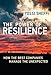 The Power of Resilience: How the Best Companies Manage the Unexpected (MIT Press)