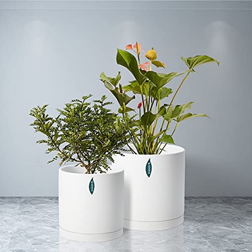 Plant Pot Set of 2 Ceramic Planter for Indoor Plant, 7" & 8" Matte