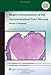 Biopsy Interpretation of the Gastrointestinal Tract Mucosa: Neoplastic (Biopsy Interpretation Series)
