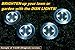Disk Lights 4-LED Solar-Powered Auto On/Off Outdoor Lighting As Seen On TV (Set of 4; Original)