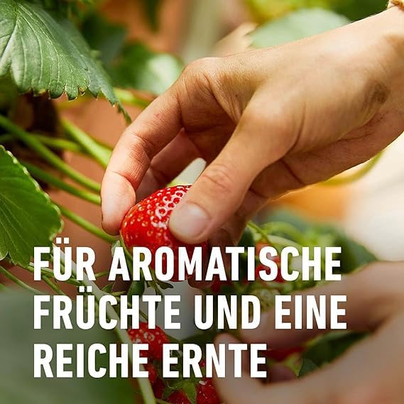 COMPO Beeren Langzeit-Dünger für Beeren, Obst und Feingemüse, Umweltschonendere Rezeptur, 6 Monate Langzeitwirkung, 2 kg, 45 m² 7