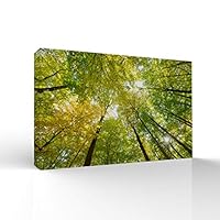 signwin-Canvas Wall Art-Sunshine in The Forest -Canvas Prints Home Artwork Decoration for Living Room,Bedroom - 12x18 inches