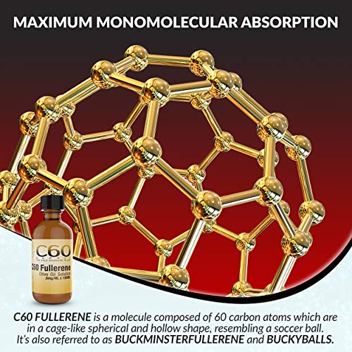 5 C60+Supplement+FULLERENE+Supplement+BUCKMINSTERFULLERENE