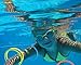 BLUE PANDA 12 Pack Pool Rings for Kids Diving - Under Water Swim Dive Rings - Multicolored Summer Sinking Pool Toys (6 in)