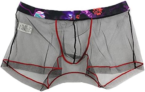 Dou7ble Li Men's Sexy Briefs Transparent Gauze Underwear